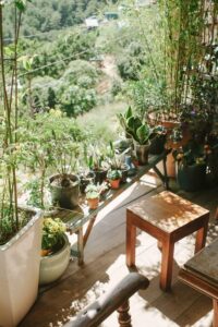 resized_101493